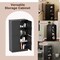Bathroom Cabinet with Adjustable Shelves and Metal Handles 2-Door Storage Organizer for Bathroom